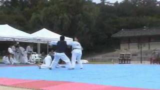 Kukkiwon Taekwondo Demonstration [upl. by Ewolram]