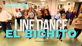 El Bichito ★ Baile en Línea ★ Line Dance ★ Ballo di Gruppo ★ Choreo [upl. by Aieka]