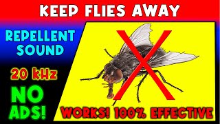 ANTI FLIES REPELLENT SOUND ⛔🦟 KEEP FLIES AWAY  ULTRASONIC SOUND [upl. by Aubigny]