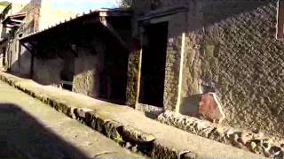 Samnite House at Herculaneum down to the House in Opus Craticium [upl. by Cicily155]