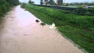 WINTERBACH HOCHWASSER KLAERANLAGE SCHORNDORF [upl. by Asum]