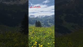 naturelovers The Hoehi Wispile is a mountain of the Bernese Alps overlooking Gstaad Canton Bern [upl. by Renato]