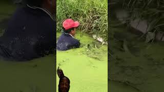 fisherman fishermanlife carpfishing fishermanslife fishingtips fishermans bassfishing 👍👍👍👍👍 [upl. by Diamante467]