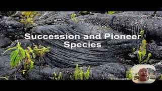 Ecological succession and pioneering species [upl. by Latsryc]