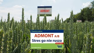 Pszenica ozima ADMONT AB  Nowość w ofercie SAATENUNION Polska [upl. by Tabatha]