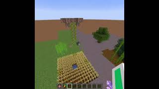 Random Tick Speed 5000 In Minecraft [upl. by Ynehteb]