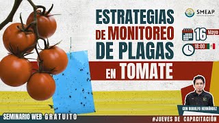 Estrategias de Monitoreo de Plagas en Tomate [upl. by Aserahs652]