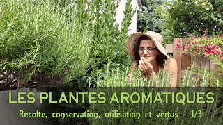 AROMATIQUES DU POTAGER 13  Récolte conservation utilisation et vertus [upl. by Parshall]