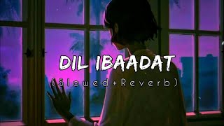 Dil Ibadat Kar Raha Hai Slowed and Reverb [upl. by Enia]