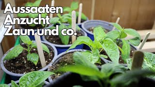 Gartenarbeiten im März und kleine Updates👨‍🌾 [upl. by Rozina]