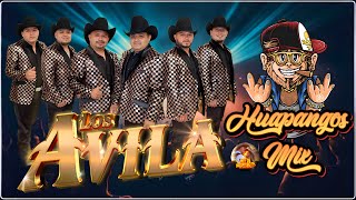 Los Avila Exitos Sus Mejores Canciones  Puros Huapangos Mix 2024 [upl. by Angel]