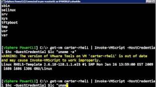 InvokeVMscript Improvements in PowerCLI 40 U1 [upl. by Nauh]