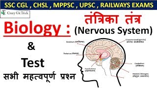 Gk  Nervous System  तंत्रिका तंत्र  For SSC CGL  CHSL  UPSC  RAILWAYS EXAMS [upl. by Adachi]