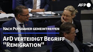 AfD verteidigt Begriff quotRemigrationquot  Weidel entlässt Referenten  AFP [upl. by Eissirc]