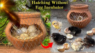 Wonderful Idea To hatch Chicks At HOME without any EGG INCUBATOR  Eggs to chicks [upl. by Dlaniger260]