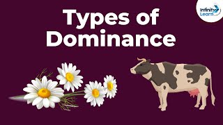 Genetics  Dominance and Its Types  Lesson 8  Dont Memorise [upl. by Francisca]