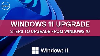 How to upgrade to Windows 11 from Windows 10  Dell Support [upl. by Anaik]