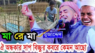 মা রে মা ঐ অন্ধকার সাপ বিচ্ছুর কবরে কেমন আছো ilyasurrahmanjihadi ইলিয়াছুররহমানজিহাদীওয়াজ [upl. by Ralina]