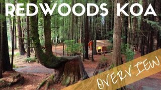 Crescent City Redwoods KOA Campground Overview  Camping near Redwoods National Park [upl. by Chivers]