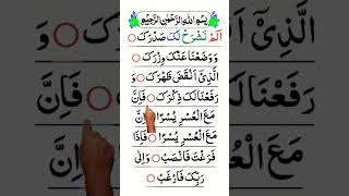 SURAH INSHIRAH beautiful egzonibrahimi shortvideo quran quranrecitation recitation shorts [upl. by Offen]