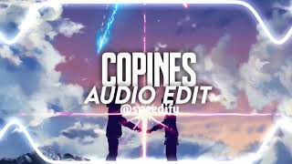 copines audio edit [upl. by Gunning]