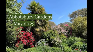 Abbotsbury Gardens Dorset in May 2023 Plants in flower including Puya berteronia [upl. by Yong]