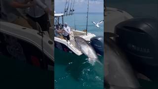 quotMassive Tuna Caught on Rod Epic Fishing Struggle in the SeaFishing Pesca Pêche Angeln Pesca [upl. by Noit]