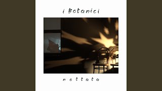 Nottata [upl. by Eseerahs]