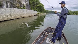 Bass Fishing the Upper Potomac River ft SBFISHINGTV 6 SPECIES CAUGHT [upl. by Hluchy828]