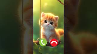 Cute Kitten meow Ringtone Phone 😺 shorts [upl. by Aremihc]