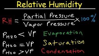 Relative Humidity  Dew Point Vapor amp Partial Pressure Evaporation Condensation  Physics [upl. by Hamirak607]