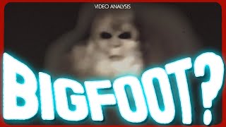 Pennsylvania White Bigfoot Video DECODED [upl. by Nipha85]