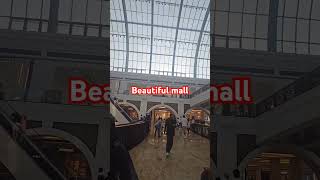 Beautiful 😍 Mall of Emirates dubai entertainment shortvideo shortsviral [upl. by Tolman248]