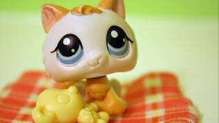 Littlest Pet Shop The Summer Camp Part 1 THE REMAKE [upl. by Landes]