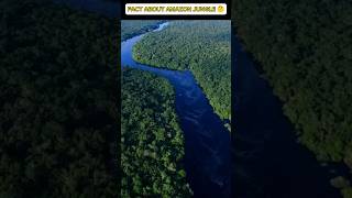 The Amazon Rainforest Earths Lungs and the Fight to Save Itquot shortsfeed amazon facts [upl. by Charita]