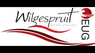 NG Wilgespruit 362018 Ds Braam Smith TEMA “Wees lief en Diensbaar” [upl. by Froh916]