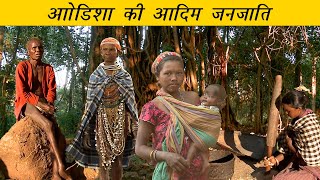 ओडिशा की आदिम जनजाति  PVTG of Odisha  Tribes of India [upl. by Sera]