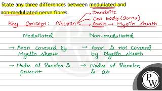 State any three differences between medullated and nonmedullated n [upl. by Vlad]