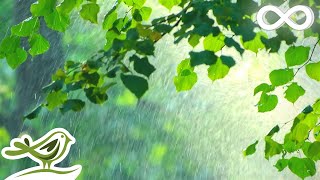 My Love Soft Piano Music amp Rain Sounds For Sleep Relaxation amp Focus [upl. by Shirlene]