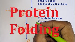 23 Protein folding Chaperones amp Enzymes  MBBS NEET CSIR NET [upl. by Asiak]