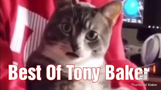 New  The Best of Tony Baker Voice Over [upl. by Neehar]