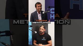 Methylation vs Genetics Understanding the Contrast [upl. by Esyla]