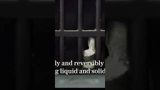 RealLife T1000 Watch This Liquid Metal Robot Escape Jail ai robotics [upl. by Risay]