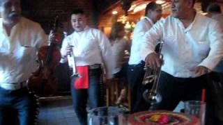 Funniest Mariachis Ever WATCH [upl. by Xenos]