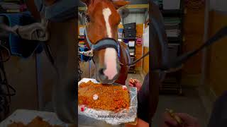 horse cake lmk if yall want recipe [upl. by Eseerehs342]