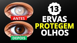 13 melhores ervas para proteger sua vísão [upl. by Ahtebat]