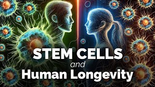 A Closer Look atStem Cells and Human Longevity [upl. by Akeenat]