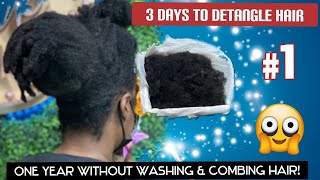 One year without washing amp combing hair [upl. by Releehw]