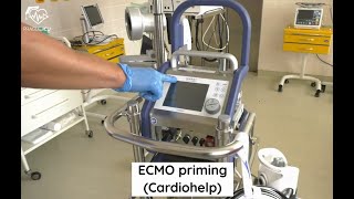 ECMO priming Cardiohelp [upl. by Greyso]