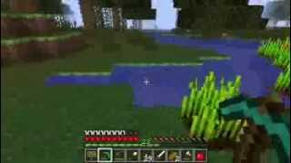 Minecraft Test Fraps Mobile Intel 4 Express Chipset Family [upl. by Alejo]